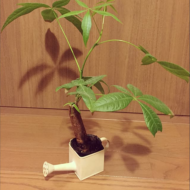 mariさんの実例写真