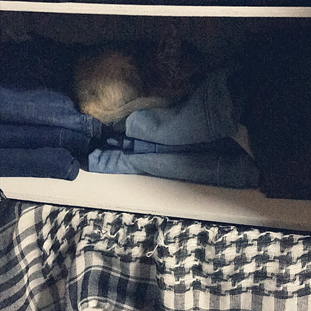 pumehanaさんの実例写真