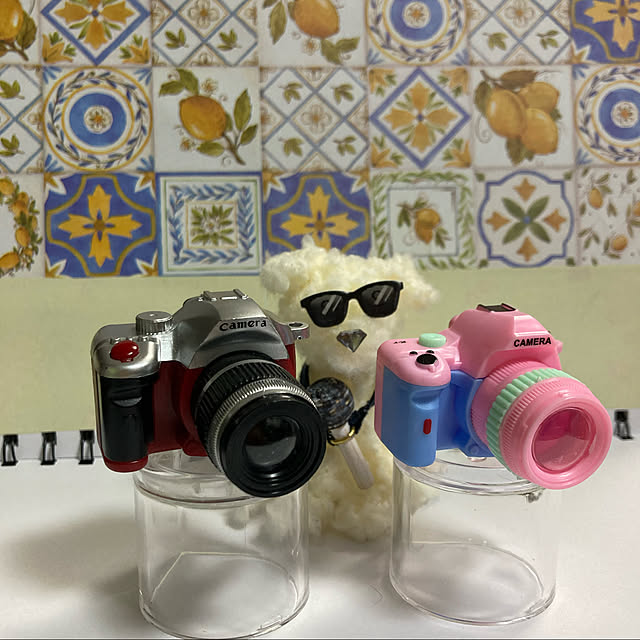 manduonmaさんの実例写真
