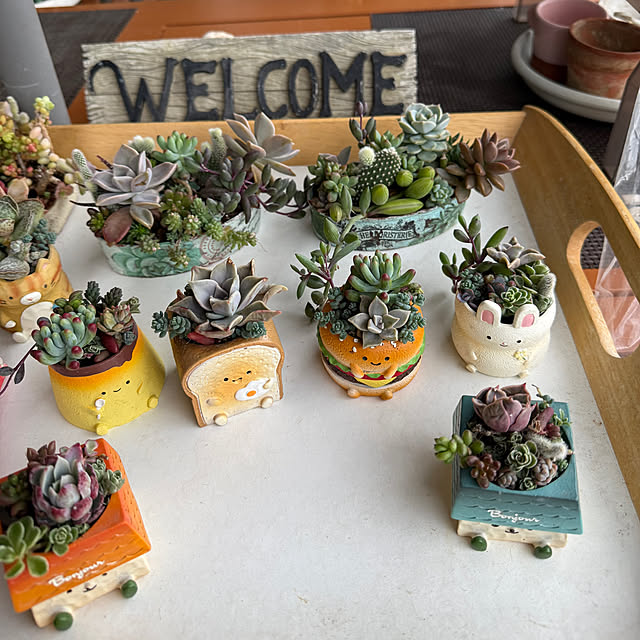 Aqettyさんの実例写真