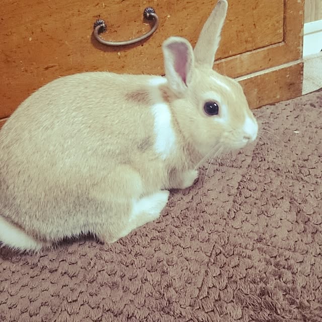emiさんの実例写真