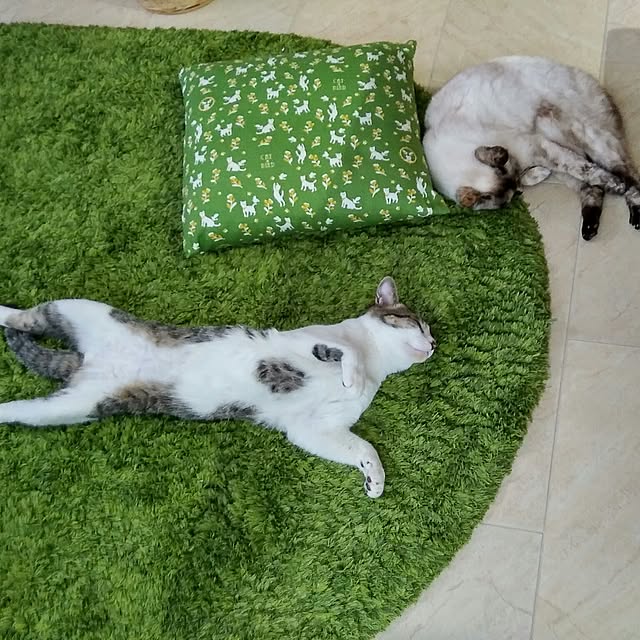 Gomaさんの実例写真