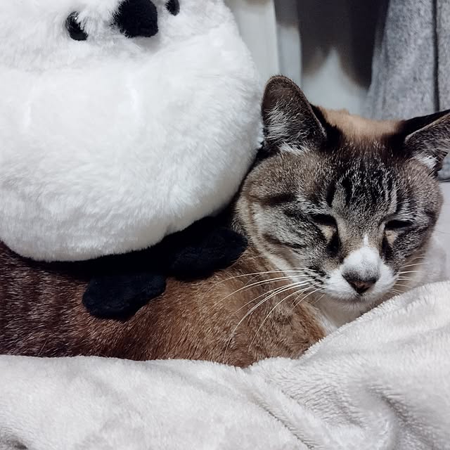 Bohomeさんの部屋