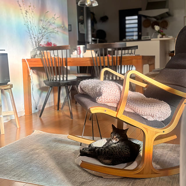 greycatsさんの部屋