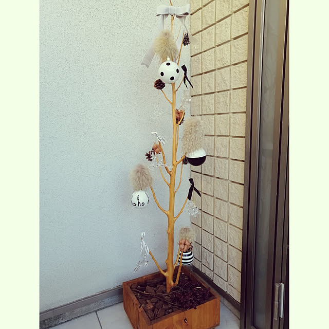 daisyさんの実例写真
