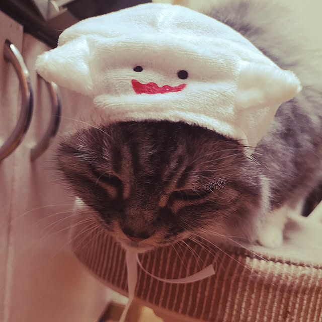 nekuさんの実例写真