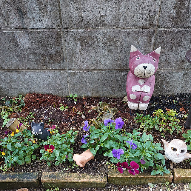 fukuさんの実例写真