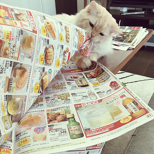 takiさんの実例写真