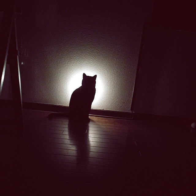 sasahakaさんの実例写真