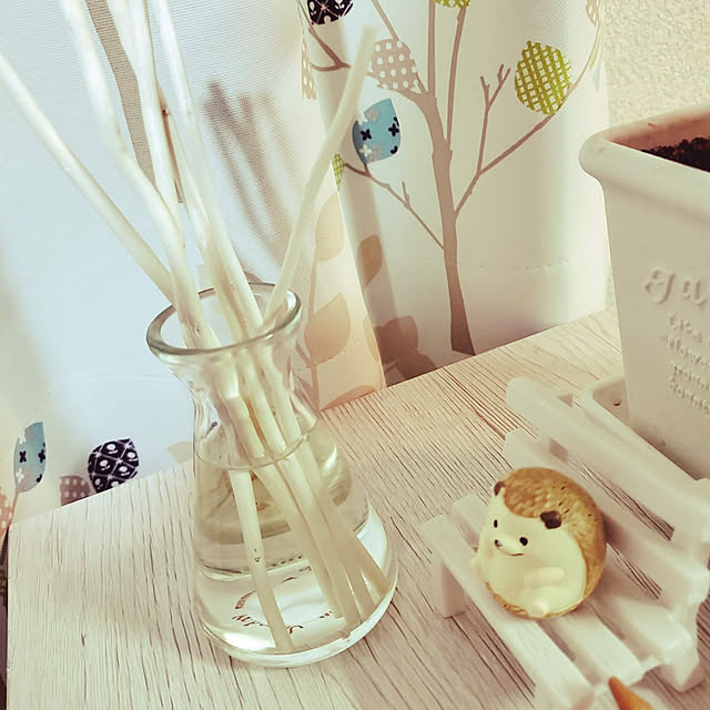 hiyollieさんの実例写真