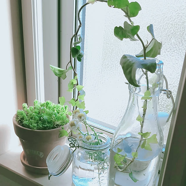 amandaさんの実例写真
