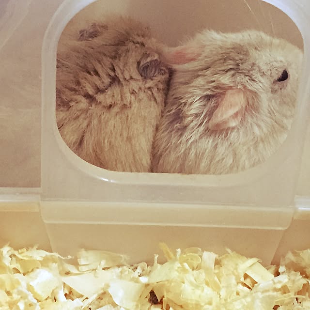 manaさんの実例写真
