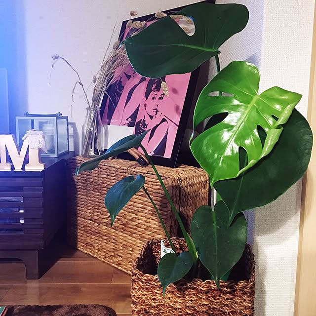Misuさんの実例写真