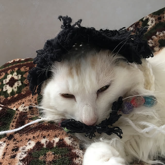 shigimiさんの実例写真