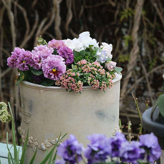 rokokoさんの実例写真