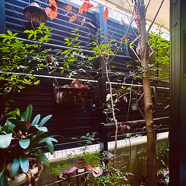 chacoさんの部屋