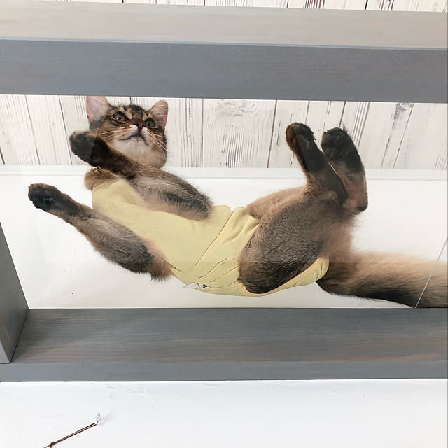 paradise_viewさんの実例写真