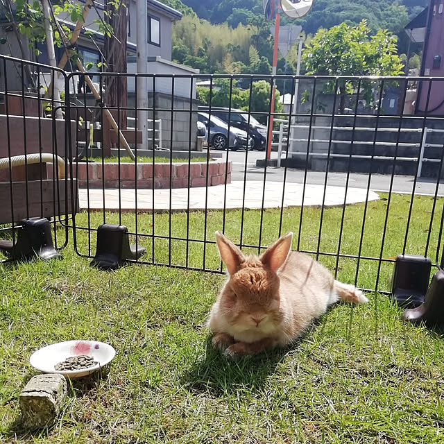 maimaimaikoさんの実例写真