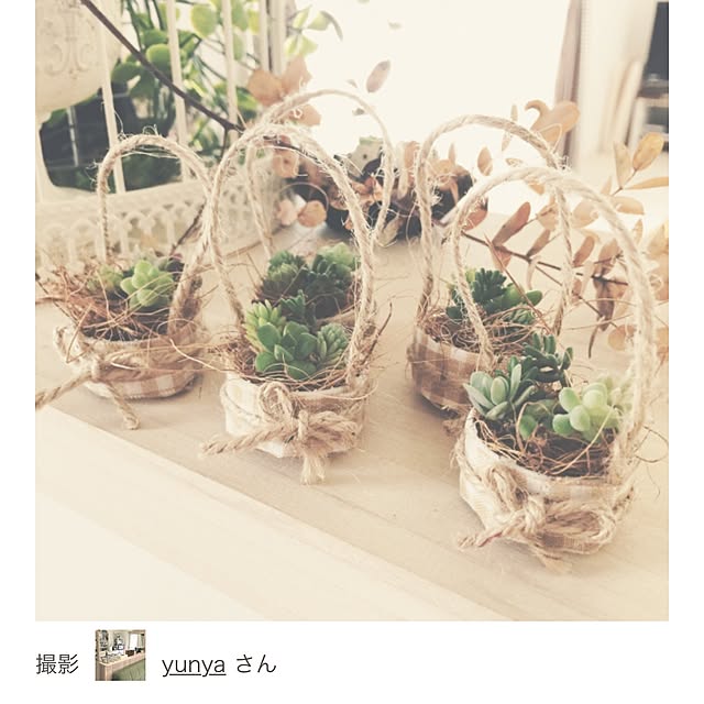 yu-iさんの実例写真