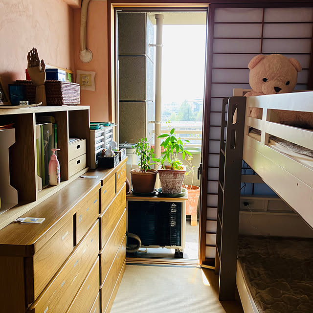 koshiregutyoさんの部屋
