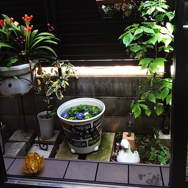 chacoさんの実例写真