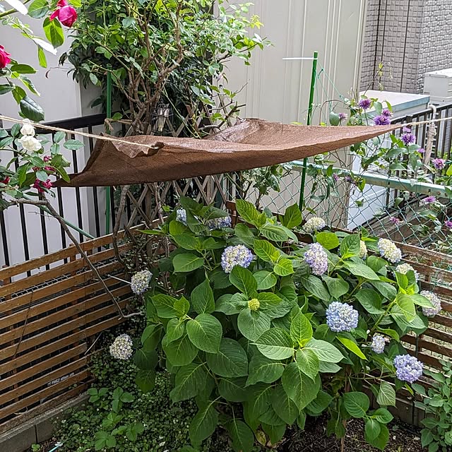 mofukoさんの実例写真