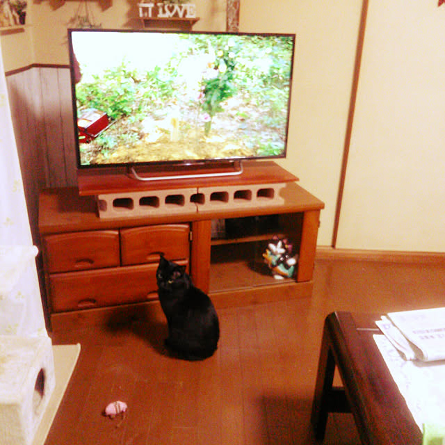 Tomopさんの実例写真