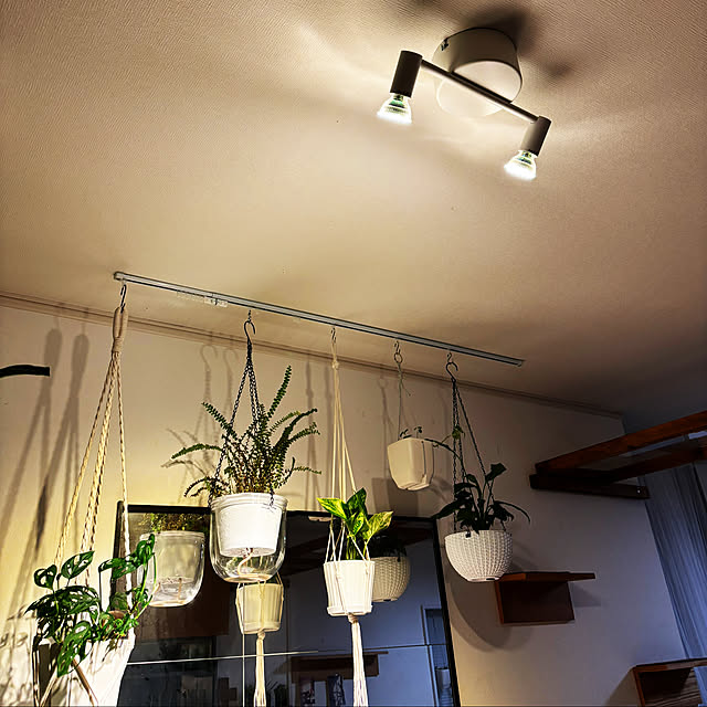 masamasaさんの部屋