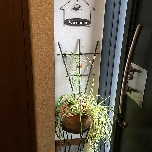 amiさんの実例写真