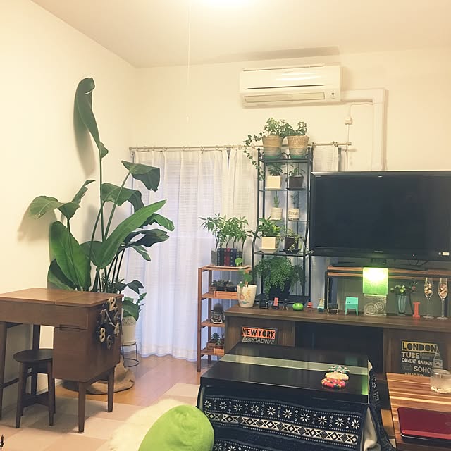 ritalin202さんの実例写真