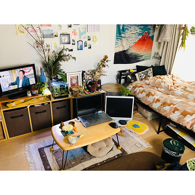 parrotさんの実例写真