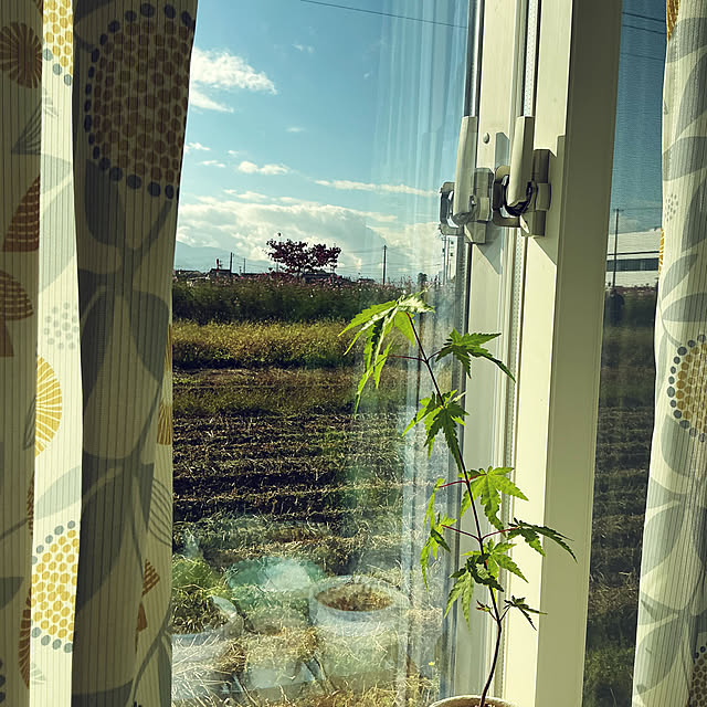 chiiyanさんの部屋