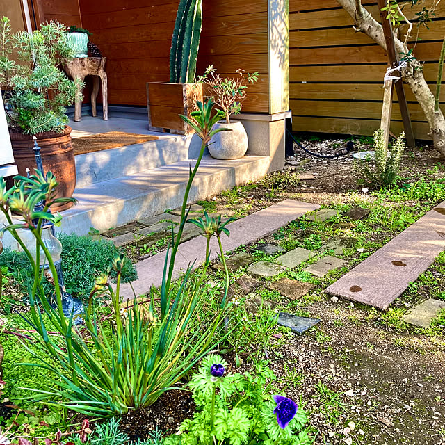 green.green.greenさんの部屋