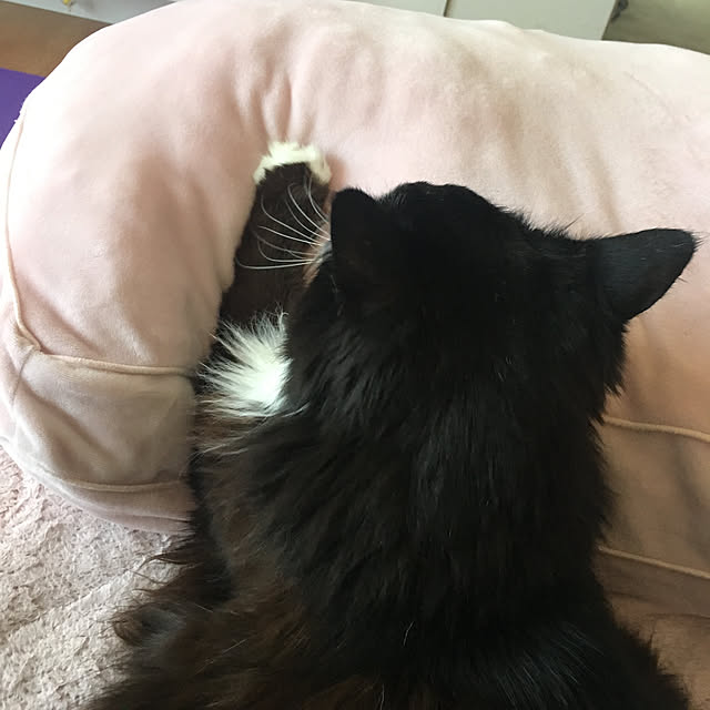 kanaさんの実例写真