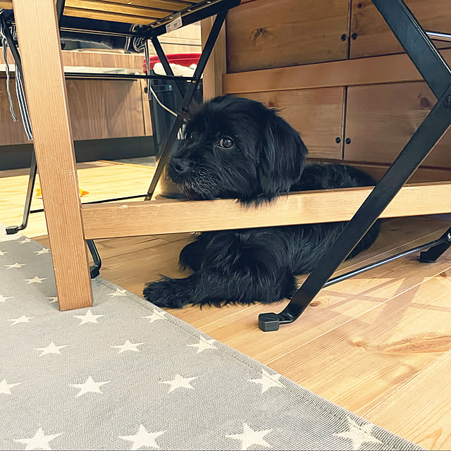marinkoさんの実例写真
