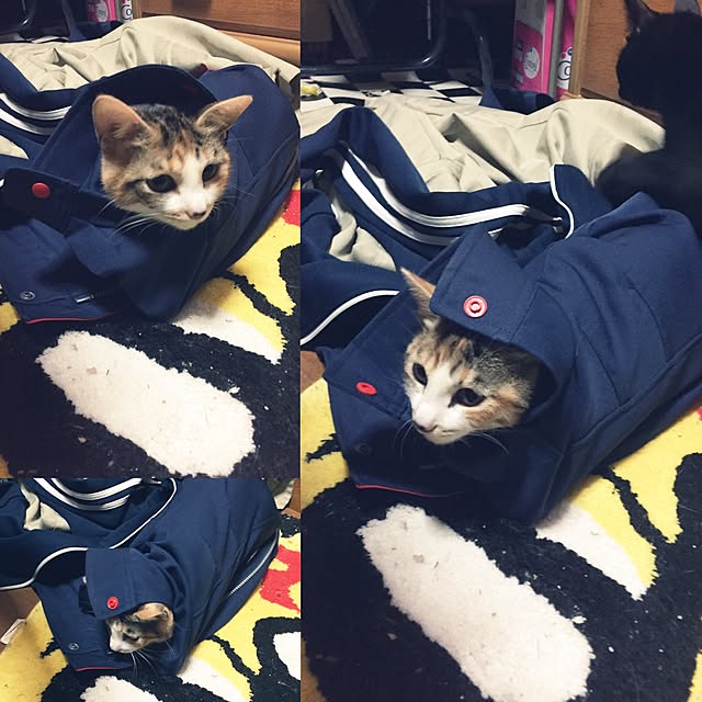 vivienne.coco-keiさんの実例写真