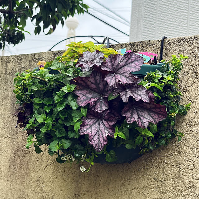 yukarin-gardenさんの部屋