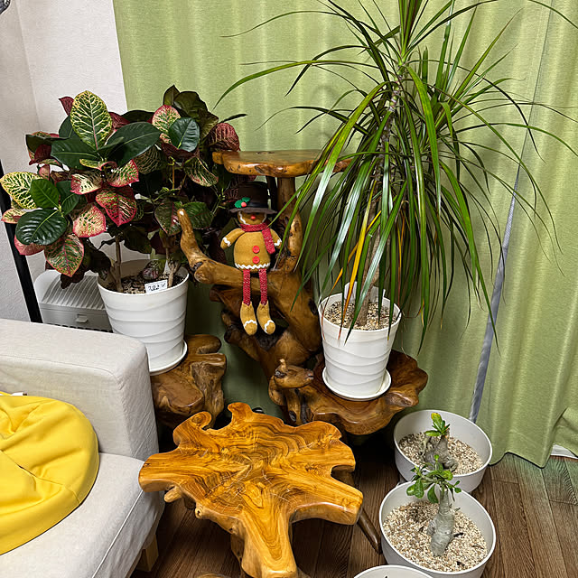 dadarikaさんの実例写真