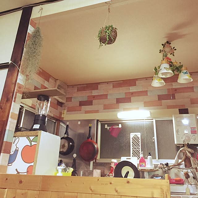 部屋全体/給湯器/フリマで購入/モシャモシャモス/グリーン増やしたい♪...などのインテリア実例 - 2015-04-13 21:48:39