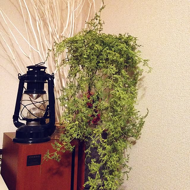 aoitoriさんの実例写真