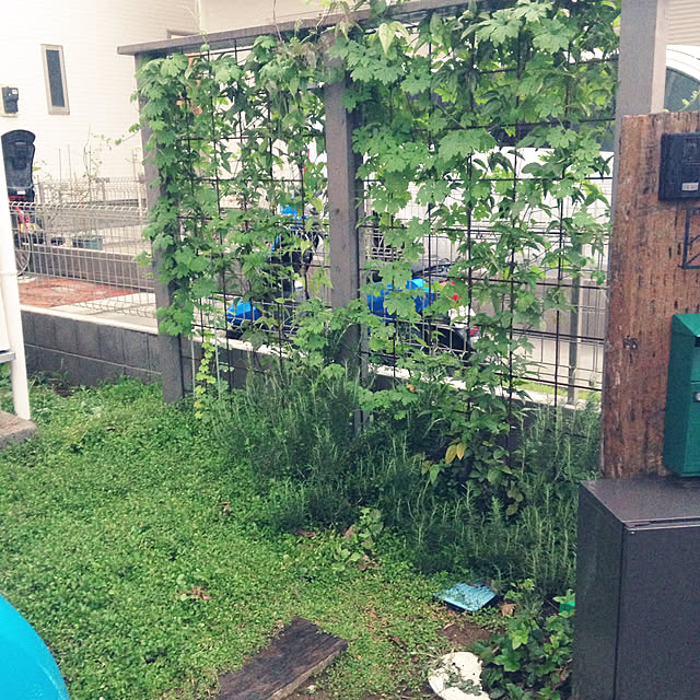 98163さんの実例写真