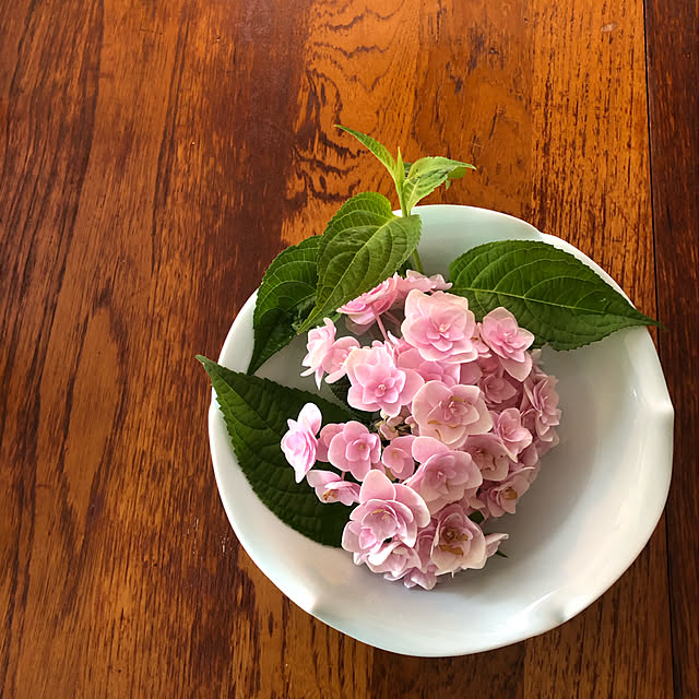 mamizaさんの実例写真