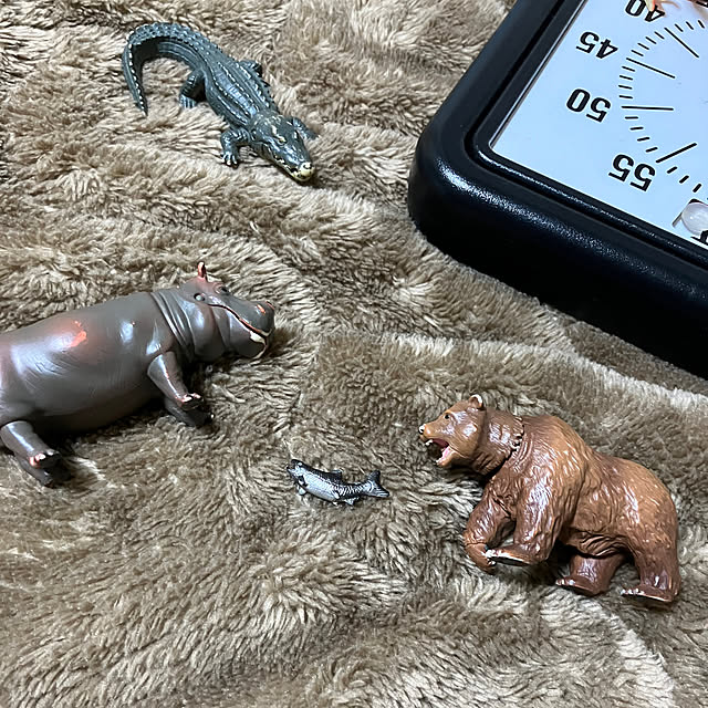 koshiregutyoさんの部屋