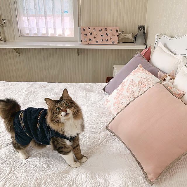 yuchiさんの実例写真