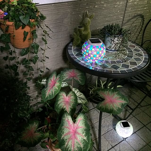 amiさんの実例写真