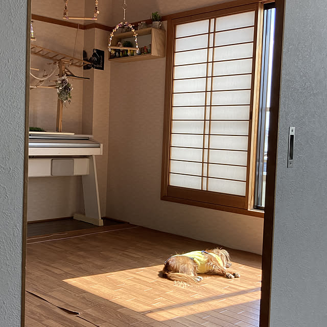 toratanさんの実例写真