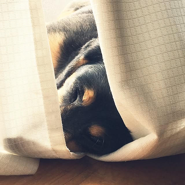 ohanaさんの実例写真