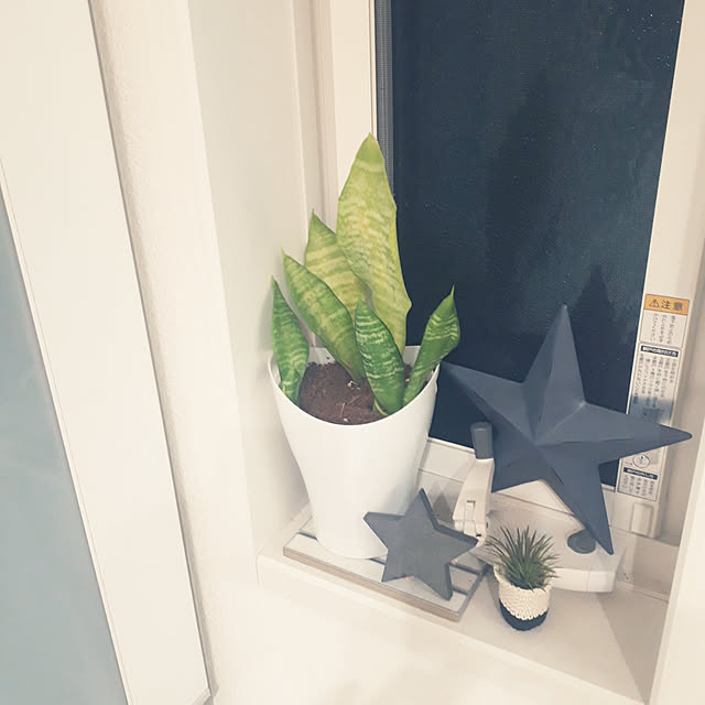m.coccoさんの実例写真