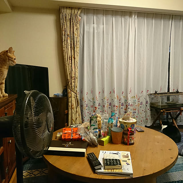 okyosan101さんの実例写真