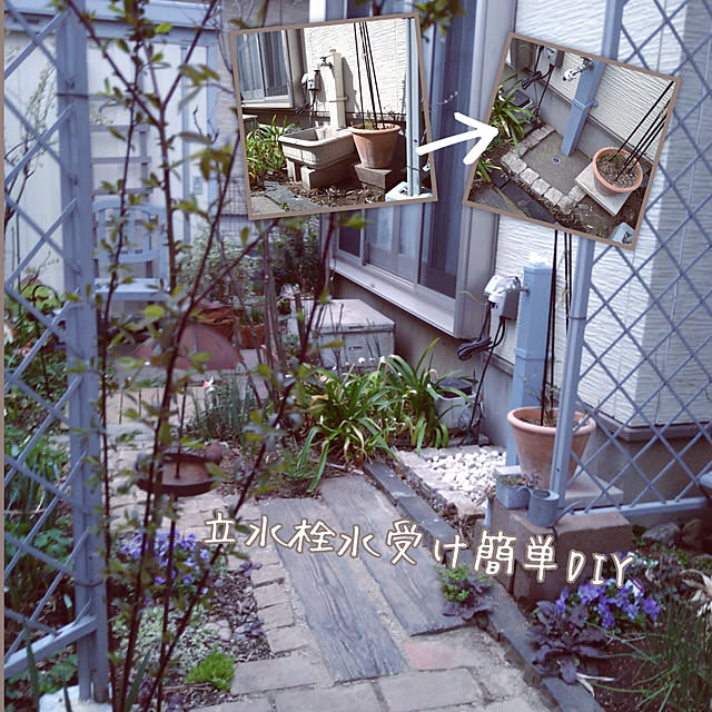 chocoさんの実例写真